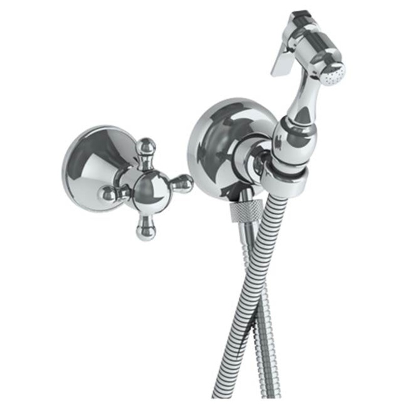 Watermark 313-4.4-AX York Wall Mounted Bidet Spray Set & Progressive Mixer With 49 Hose