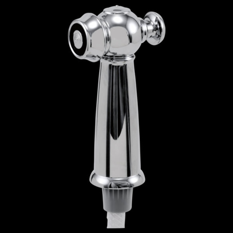 Delta RP37489 Side Spray & Hose Assembly