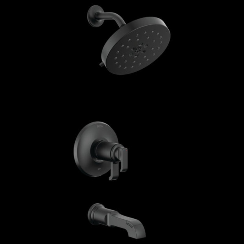 Delta T17T489 17T Series Tub Shower Trim