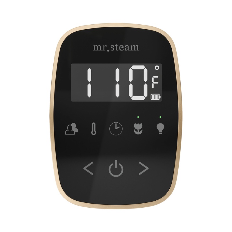 Mr. Steam TF TempoFlex Steam Shower Control and Steamhead