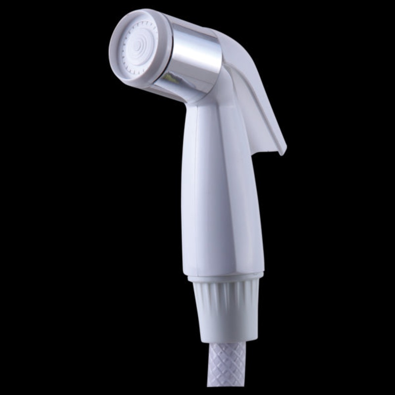Delta RP39364 Spray with Chrome Band & Spray Assembly – White
