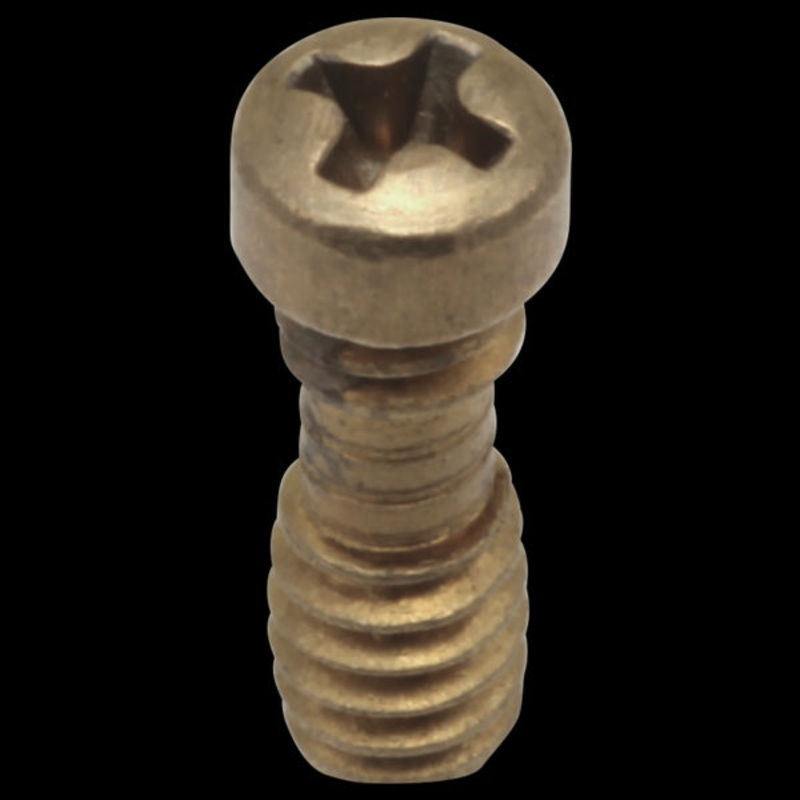 Delta RP20185 Retention Screws – 1/2