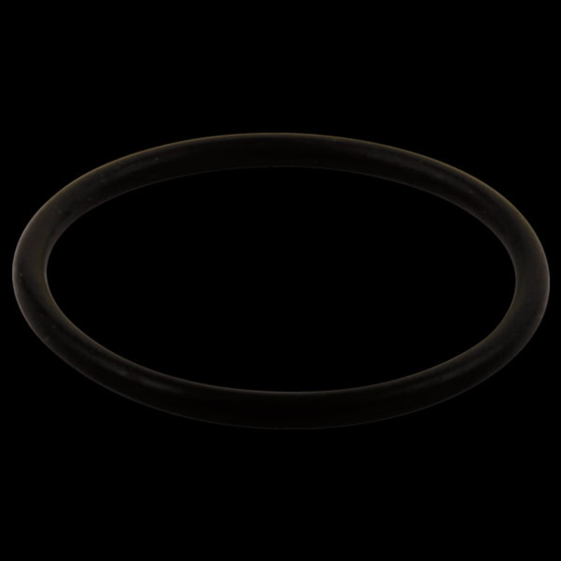 Delta RP23336 O-Ring – Large – All Monitor Series