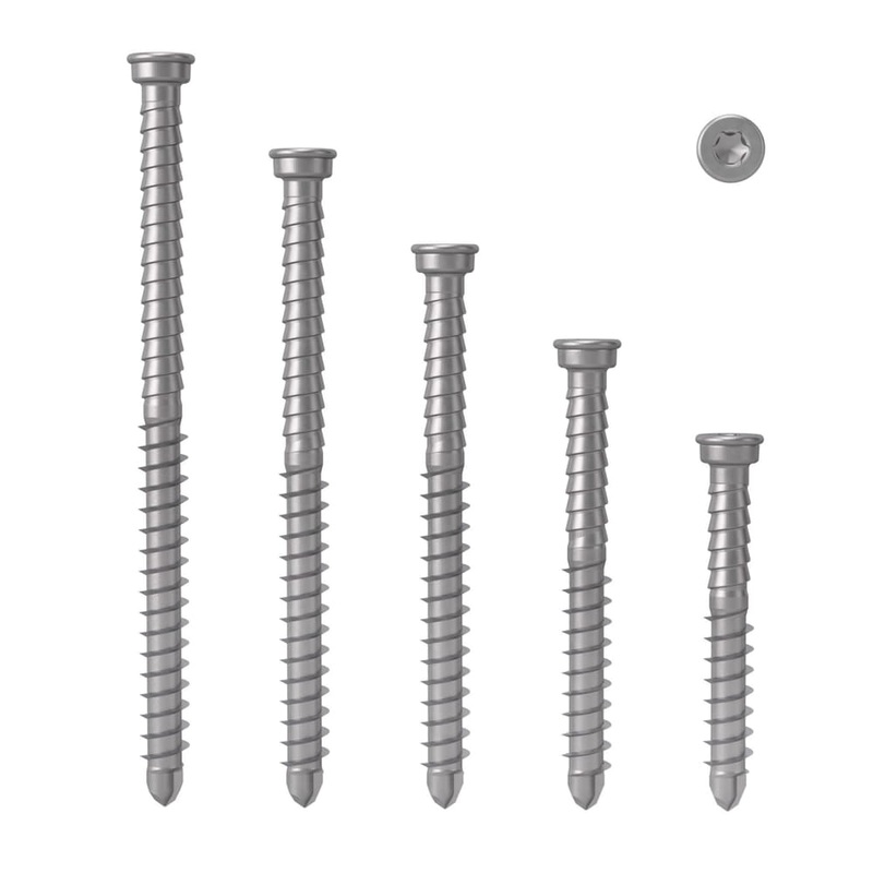 Deck Screw 5.5 x 60 S2 304SS TX20 Pk1000