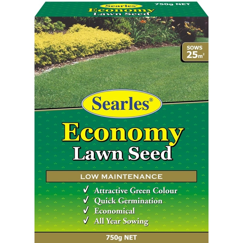 Lawn Seed  Economy Pack 750g